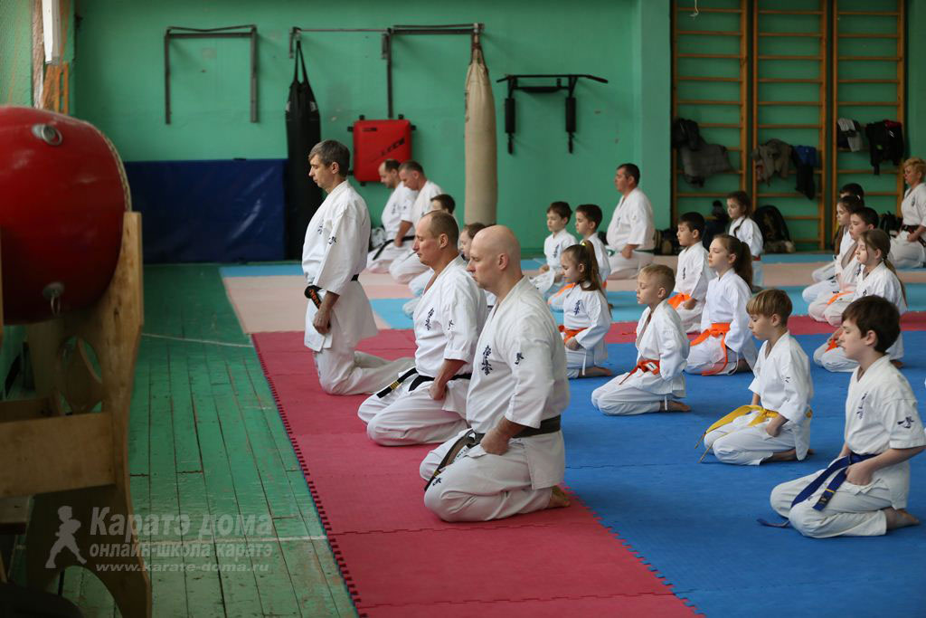 Дополнительные материалы Онлайн школы КАРАТЭ ДОМА karatedoma